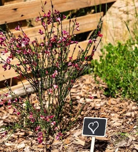 Le La Meilleraie-Tillay